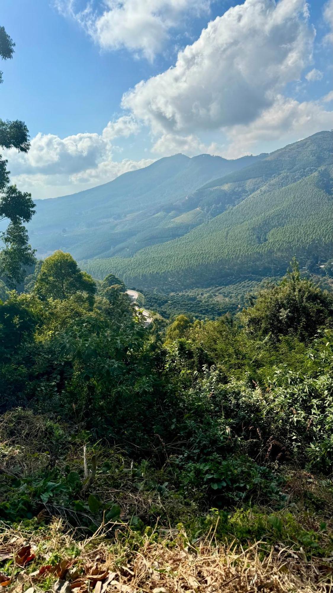 Magoebaskloof Mountain Lodge Tzaneen Zewnętrze zdjęcie