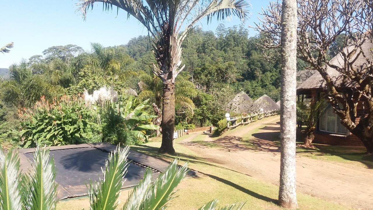 Magoebaskloof Mountain Lodge Tzaneen Zewnętrze zdjęcie