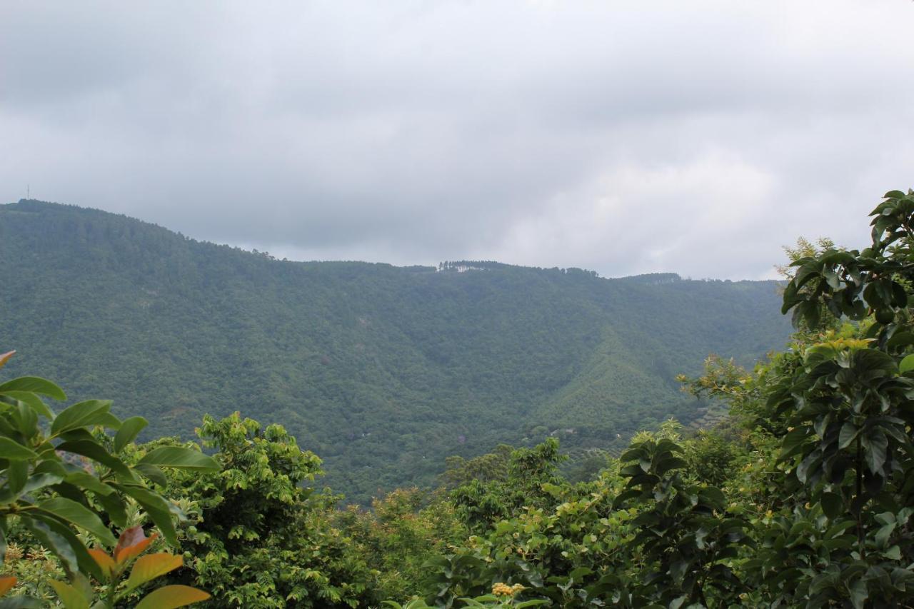 Magoebaskloof Mountain Lodge Tzaneen Zewnętrze zdjęcie